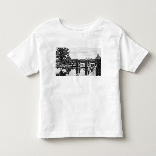 T-shirts Curvatura, fotografia do jardim de rocha de Oregon (Frente)