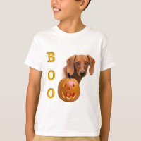 Dachshund (liso) Boo