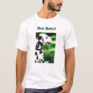 T-shirts Dals obtido?