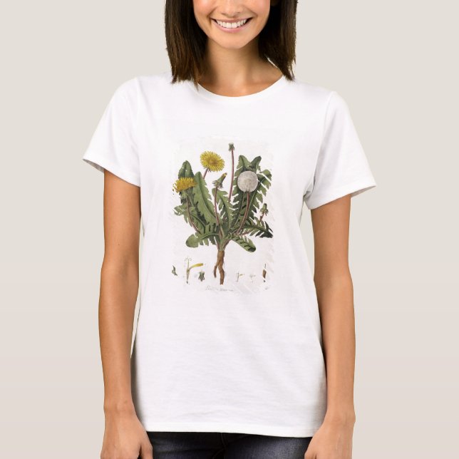 T-shirts Dandelion (gravura a cores) (Frente)