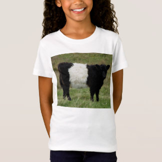T-shirts Dartmoor cercou a vista da vitela de Galloway