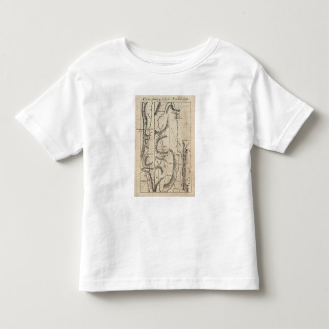 T-shirts De Albany a Newborough 33 (Frente)