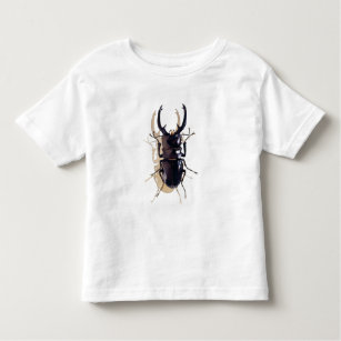T-shirts De "arte da aguarela do inseto do besouro veado"