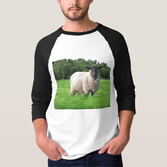 T-shirts De Raglan básico da Capa de Sheal 3/4 (Frente)