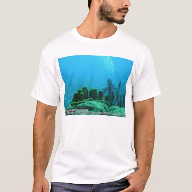 T-shirts Delitrix e Cnidarian de Cliona (esponja furando e (Frente)