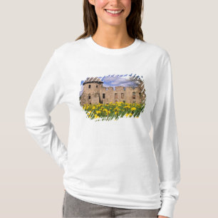 T-shirts Dent-de-leões rodeiam o Castelo de Cesis no centro