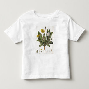 T-shirts Dente-de-leão (gravura da cor)