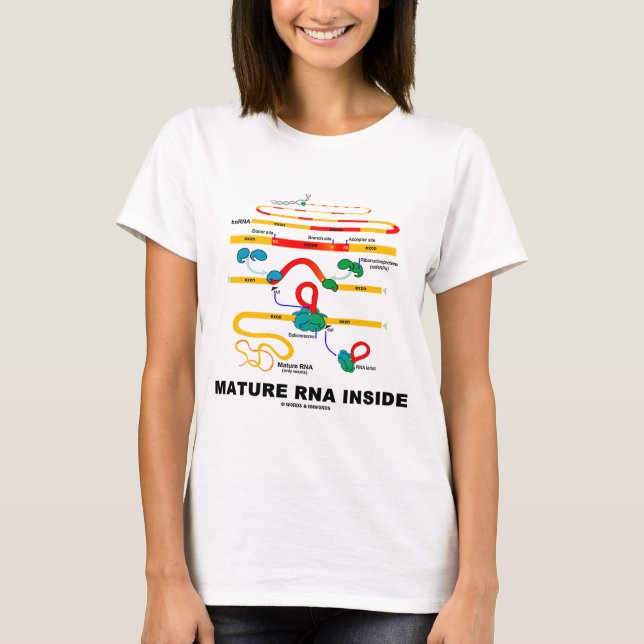 T-shirts Dentro RNA maduro (Frente)
