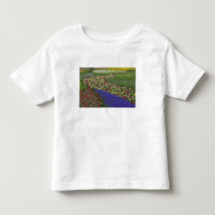 T-shirts Desenho de jardim de Jacinto de Uva e tulipas,