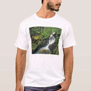 T-shirts Desfiladeiro Avalanche no Parque Nacional Glacier