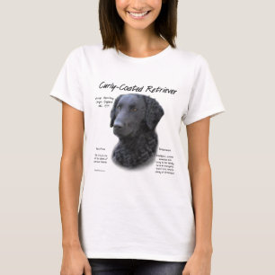 T-shirts Design de Histórico de Retriever Revestido Curly