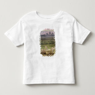 T-shirts Detalhe da manhã, c.1808-09