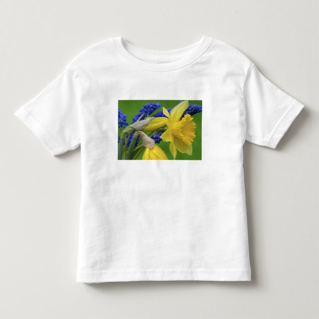 T-shirts Detalhe das flores de narciso e jacinto. Crédito (Frente)