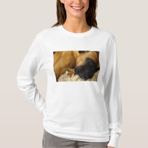 T-shirts Detalhe de um Boxer