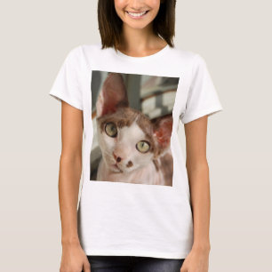 T-shirts devon rex 2