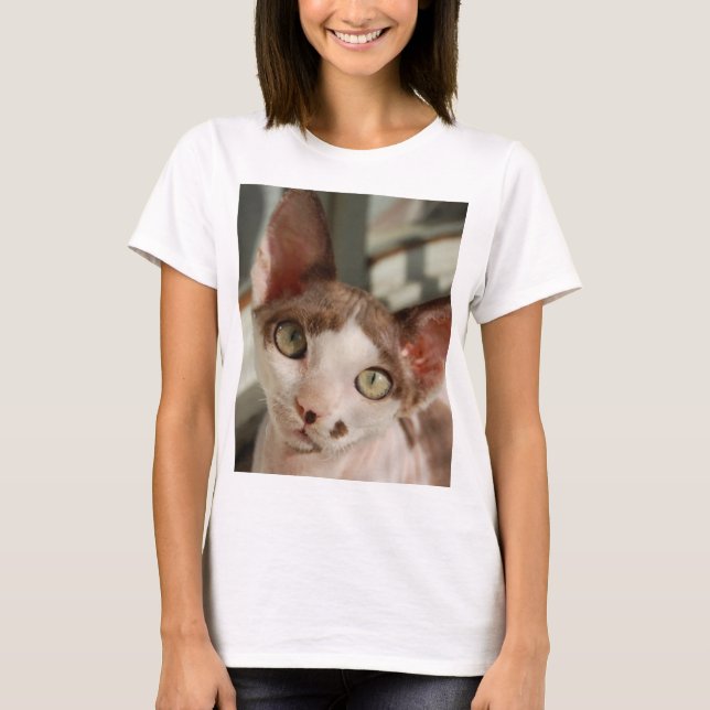 T-shirts devon rex 2 (Frente)