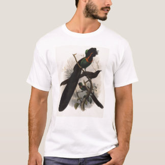 T-shirts DG Elliot - negro de Astrapia