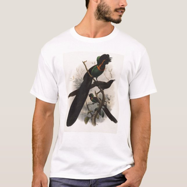T-shirts DG Elliot - negro de Astrapia (Frente)