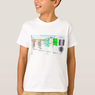 T-shirts Diagrama de espaço de Mitonchondrial Intermembrane