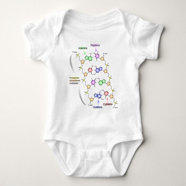 T-shirts Diagrama detalhado da estrutura química do ADN (Frente)