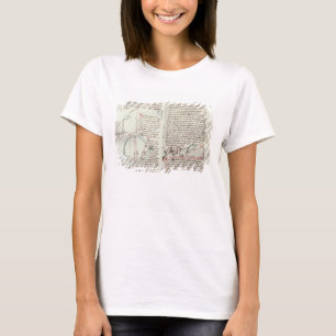 T-shirts Diagramas das medidas e do texto (velino)
