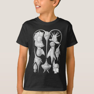 T-shirts Dinoflagellates