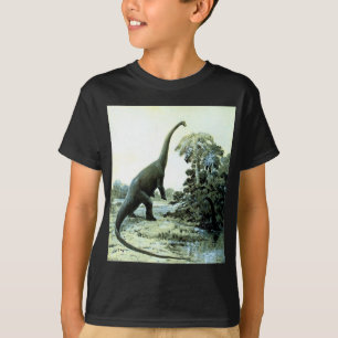 T-shirts diplodocus