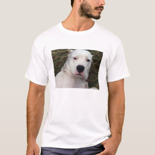 T-shirts dogo argentino.png