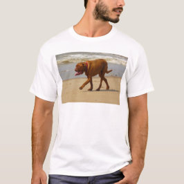 T-shirts dogue de bordeaux
