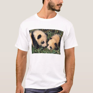 T-shirts Dois filhotes panda no arbusto de bambu, Wolong.