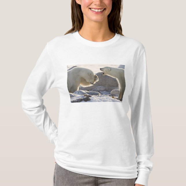 T-shirts Dois Ursos Polares (Frente)