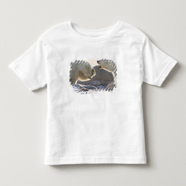 T-shirts Dois Ursos Polares (Frente)