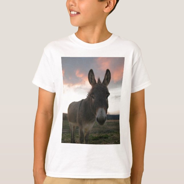 T-shirts Donkey Art (Frente)