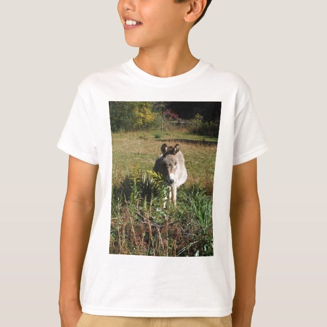 T-shirts Donkey Picting Yellow Autumn Wildflower (Frente)