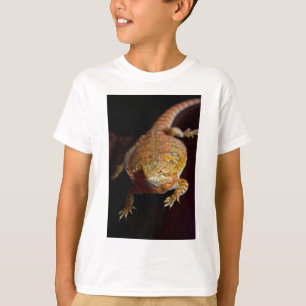 T-shirts Dragão farpado