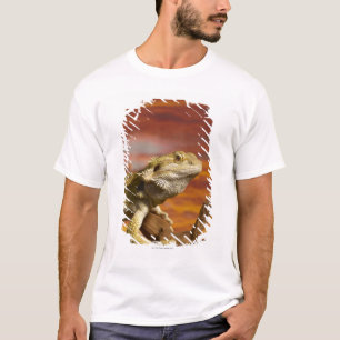 T-shirts Dragão farpado (Pogona Vitticeps) no ramo,