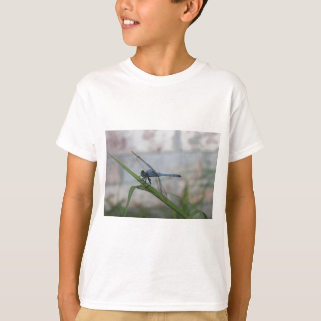 T-shirts Dragonfly Azul (Frente)