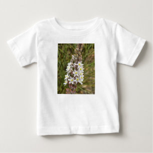 T-shirts Drimia Maritima Ou Island Onion Art