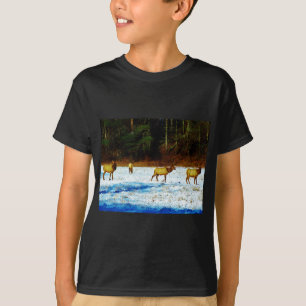 T-SHIRTS DSC00131.JPG