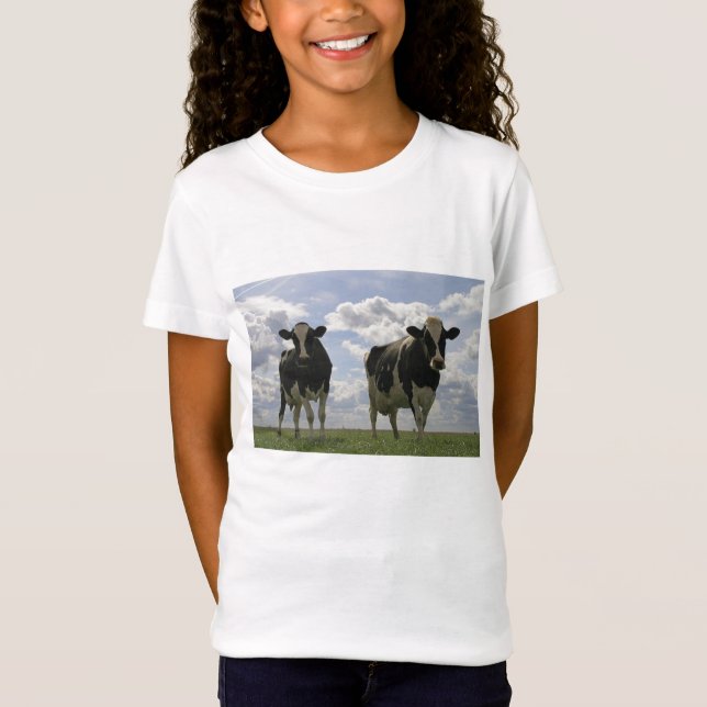 T-shirts Duas vacas do frisão (Frente)