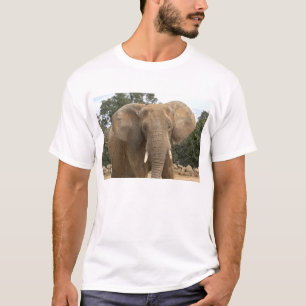 T-shirts Dumbo Tee