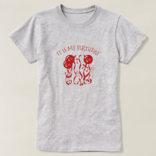 T-shirts É o meu aniversário, tenho 60 anos