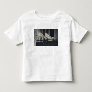T-shirts edifício do Grande Hermitage, pé da escultura