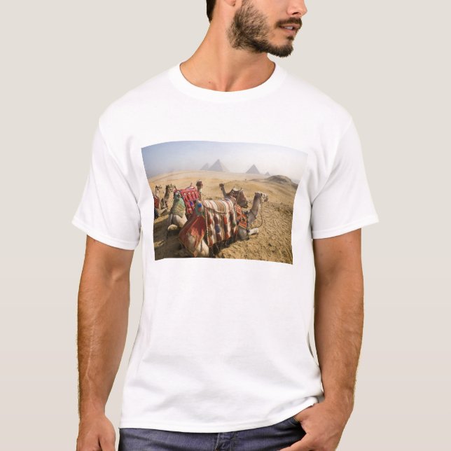 T-shirts Egito, Cairo. Camelos descansando (Frente)