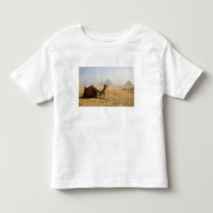 T-shirts Egito, Cairo. Um camelo solitário