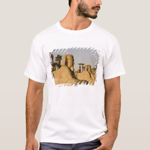 T-shirts Egito, Luxor. A Avenida das Esfinges leva a