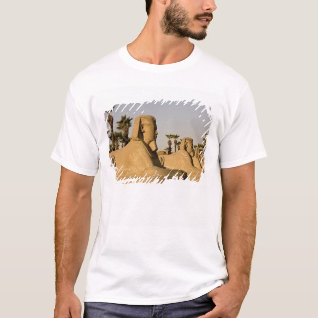 T-shirts Egito, Luxor. A Avenida das Esfinges leva a (Frente)