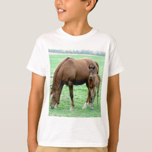 T-shirts Égua da baía e seu potro