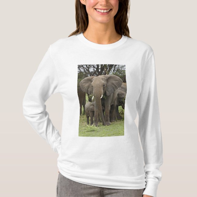 T-shirts Elefante Africano | Herd (Frente)