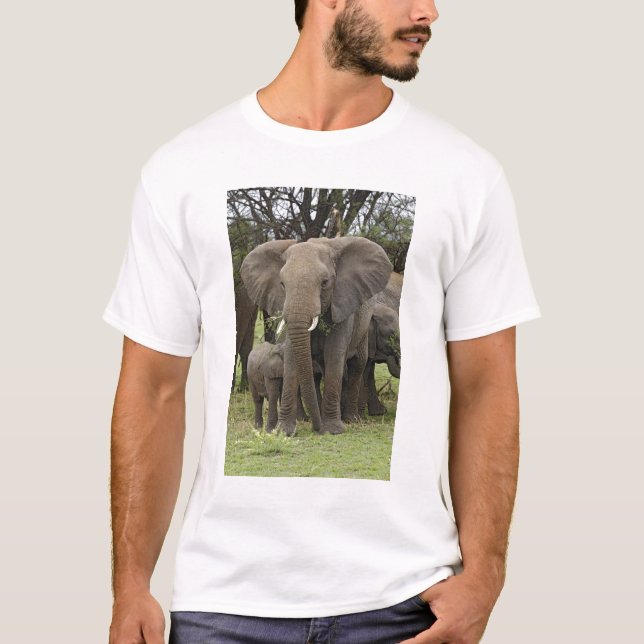 T-shirts Elefante Africano | Manada (Frente)